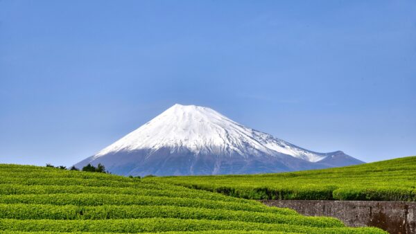 【2025年最新】静岡県におけるM&A・事業承継の背景・現状・事例を徹底解説